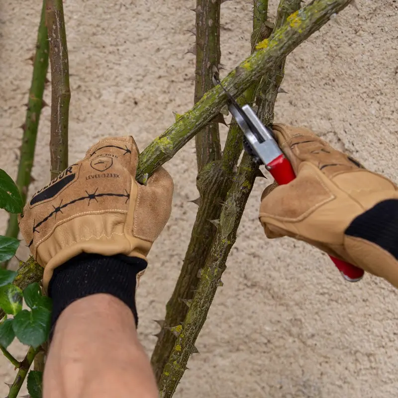 gants- debardage2 (1).webp