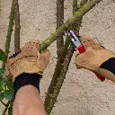 gants- debardage2 (1).webp