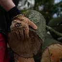 gants- debardage3 (1).webp