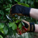 gants-layon1  (1).webp