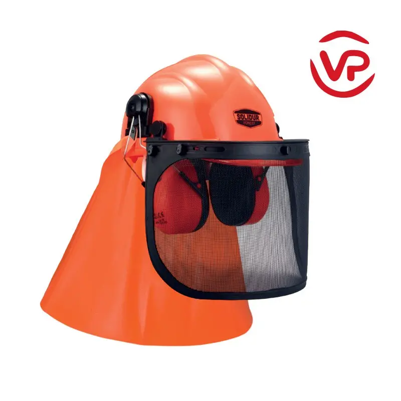 Casque forestier complet