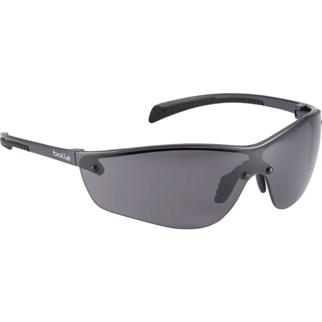 Lunettes de protection Polycarbonate fumé SILIUM SILPPSF, vision panoramique